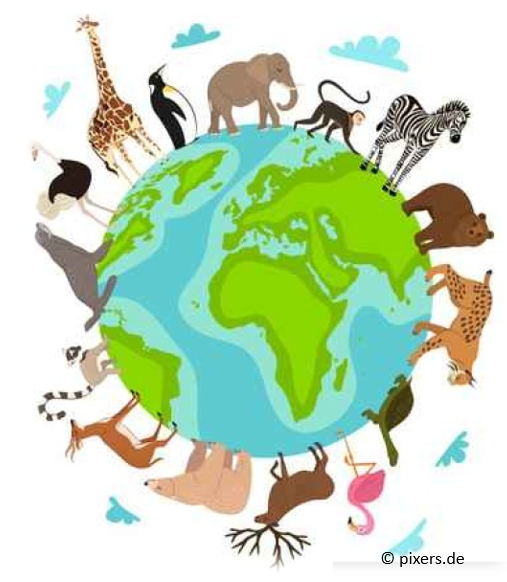 Tiere_rund_um_den_Globus.png